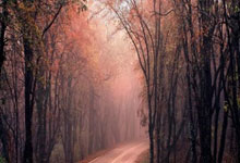 英媒：若萨维尼奥离队，曼城准备总价1亿欧报价罗德里戈