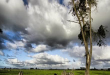 罗马诺：由于洛维加盟博洛尼亚，拉比奥特仍可能留在马赛