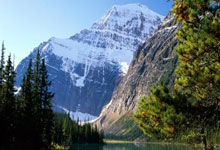 泰晤士报：桑德兰、维拉及伯恩茅斯有意切尔西门将佩特洛维奇